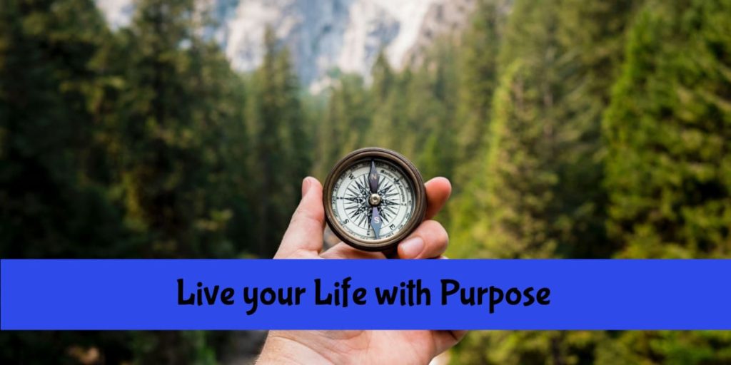 compass in hand for purpose