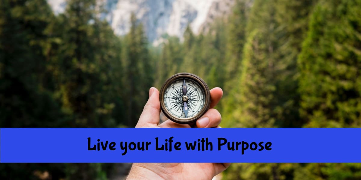 compass in hand for purpose